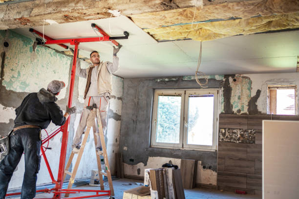 Best Specialized Insulation Services in Bay Springs, MS