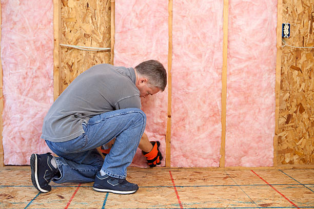 Best DIY Insulation Kits and Guidance in Bay Springs, MS